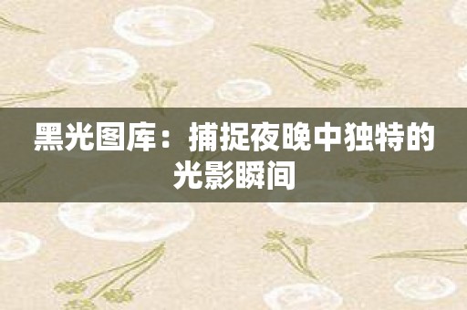 黑光图库：捕捉夜晚中独特的光影瞬间