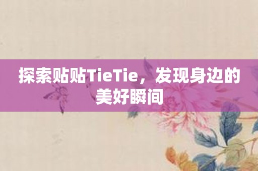 探索贴贴TieTie，发现身边的美好瞬间