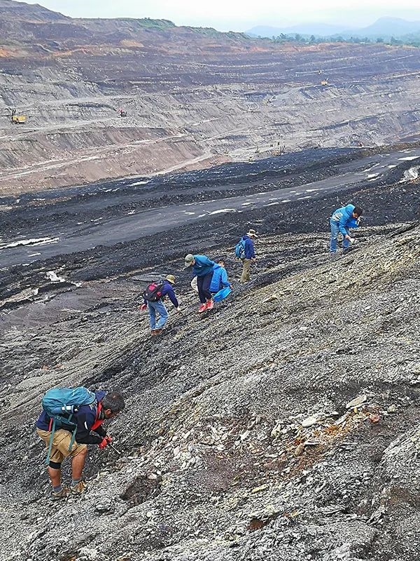 重大发现！中国科学家从3500万年前的粪便中发现地球长这样