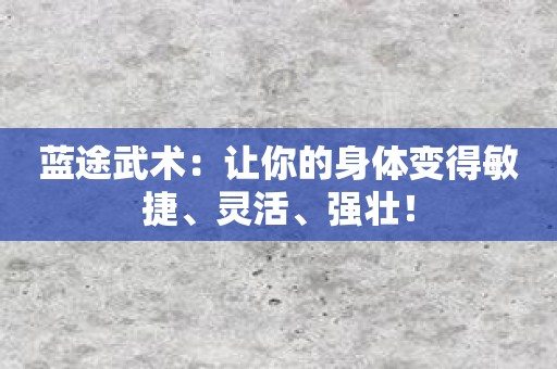 蓝途武术：让你的身体变得敏捷、灵活、强壮！