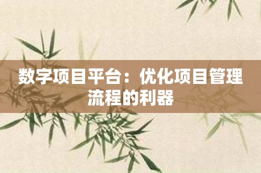 数字项目平台：优化项目管理流程的利器