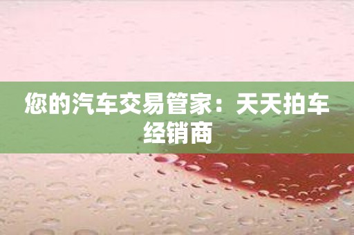 您的汽车交易管家：天天拍车经销商