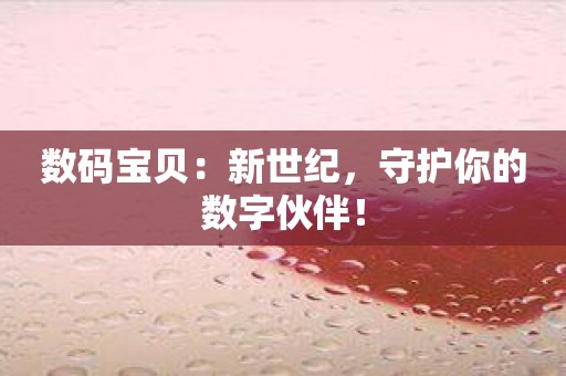 数码宝贝：新世纪，守护你的数字伙伴！