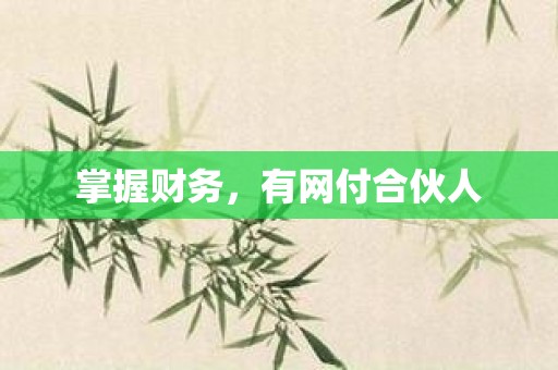 掌握财务，有网付合伙人