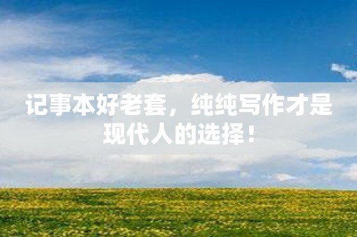 记事本好老套，纯纯写作才是现代人的选择！