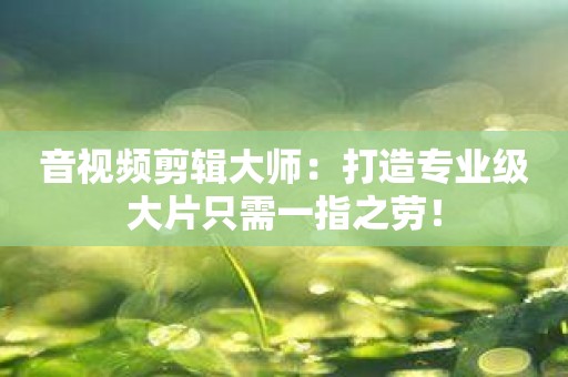 音视频剪辑大师：打造专业级大片只需一指之劳！
