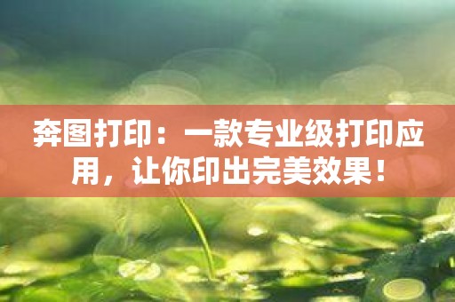 奔图打印：一款专业级打印应用，让你印出完美效果！