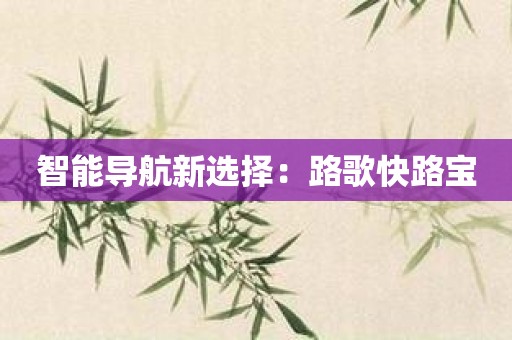 智能导航新选择：路歌快路宝