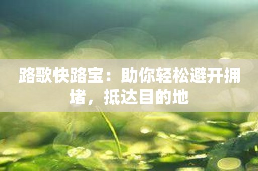 路歌快路宝：助你轻松避开拥堵，抵达目的地