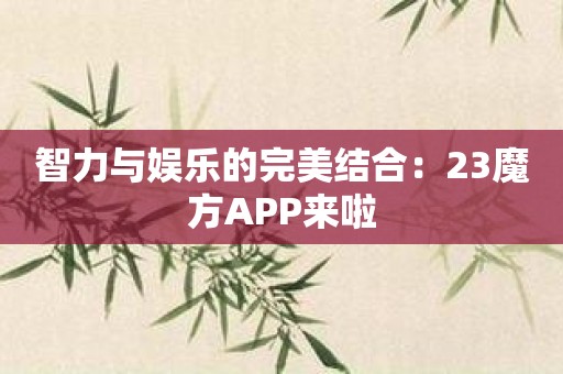 智力与娱乐的完美结合：23魔方APP来啦