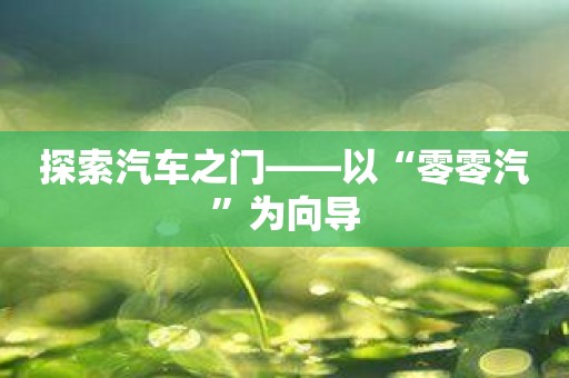探索汽车之门——以“零零汽”为向导