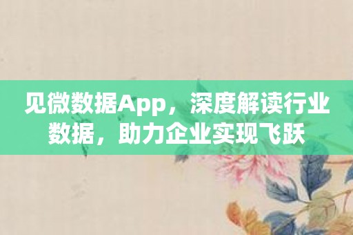 见微数据App，深度解读行业数据，助力企业实现飞跃