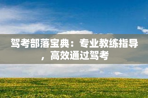驾考部落宝典：专业教练指导，高效通过驾考