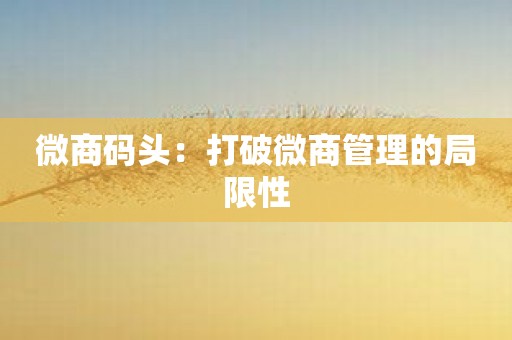 微商码头：打破微商管理的局限性