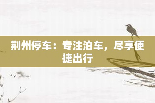 荆州停车：专注泊车，尽享便捷出行