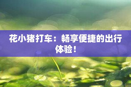 花小猪打车：畅享便捷的出行体验！