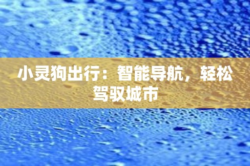 小灵狗出行：智能导航，轻松驾驭城市