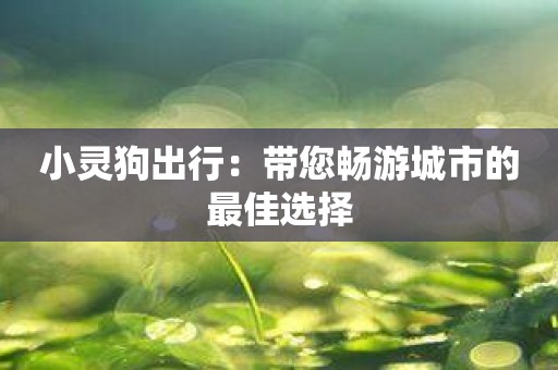 小灵狗出行：带您畅游城市的最佳选择