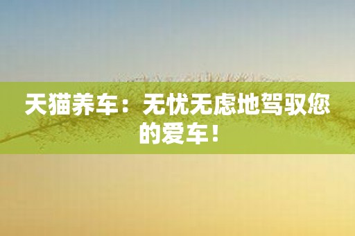 天猫养车：无忧无虑地驾驭您的爱车！