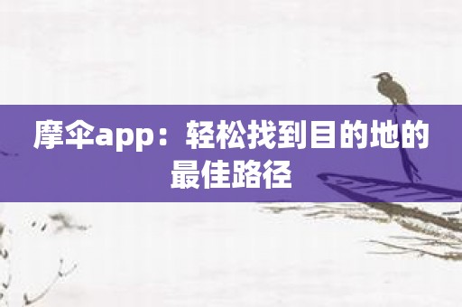 摩伞app：轻松找到目的地的最佳路径