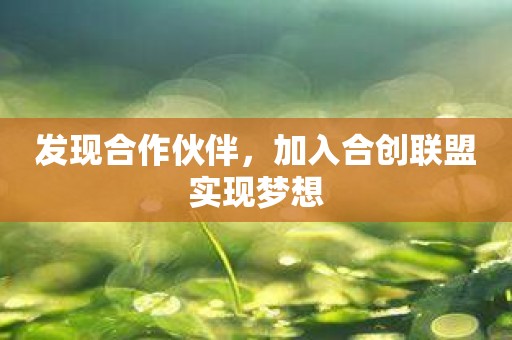 发现合作伙伴，加入合创联盟实现梦想