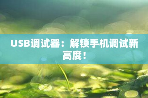 USB调试器：解锁手机调试新高度！