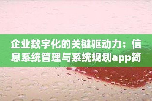 企业数字化的关键驱动力：信息系统管理与系统规划app简介
