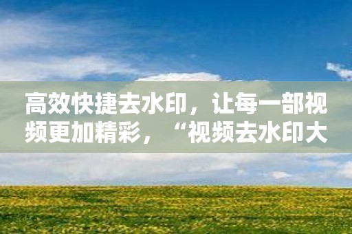 高效快捷去水印，让每一部视频更加精彩，“视频去水印大师”专业为您！