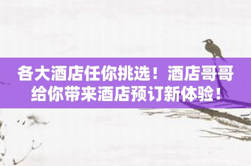 各大酒店任你挑选！酒店哥哥给你带来酒店预订新体验！