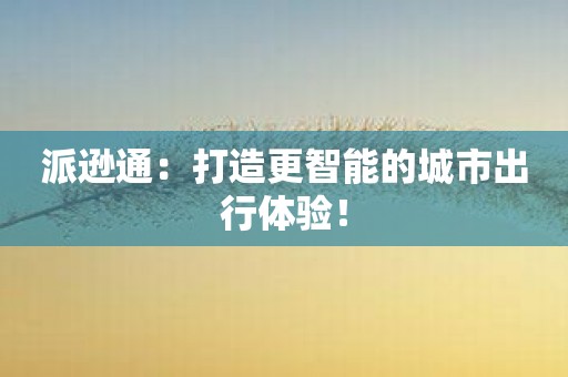 派逊通：打造更智能的城市出行体验！