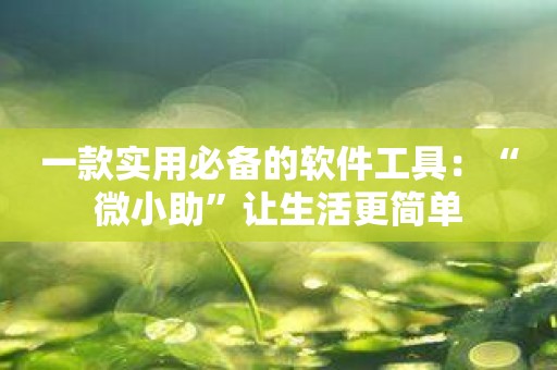 一款实用必备的软件工具：“微小助”让生活更简单