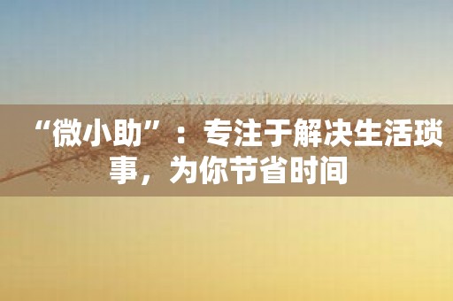“微小助”：专注于解决生活琐事，为你节省时间
