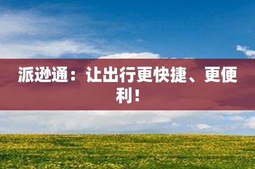 派逊通：让出行更快捷、更便利！