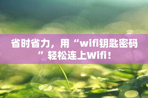 省时省力，用“wifi钥匙密码”轻松连上Wifi！