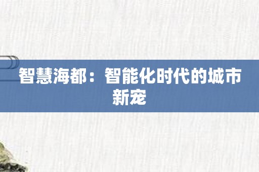 智慧海都：智能化时代的城市新宠