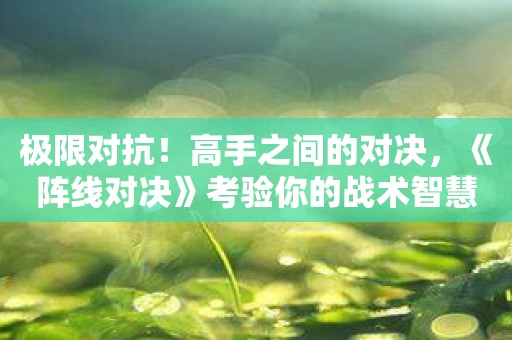 极限对抗！高手之间的对决，《阵线对决》考验你的战术智慧！