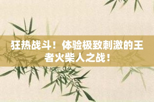 狂热战斗！体验极致刺激的王者火柴人之战！
