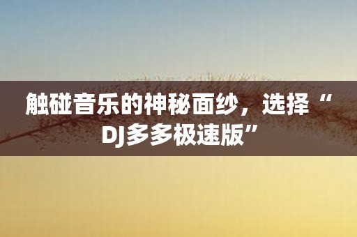 触碰音乐的神秘面纱，选择“DJ多多极速版”