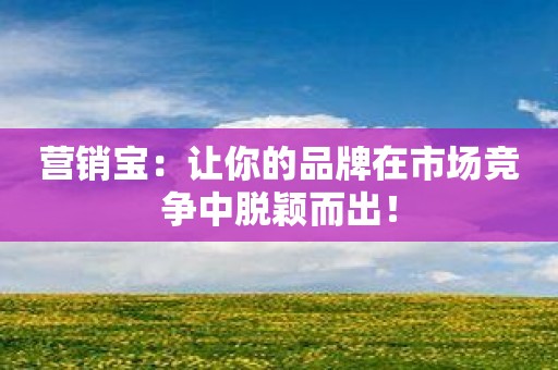 营销宝：让你的品牌在市场竞争中脱颖而出！