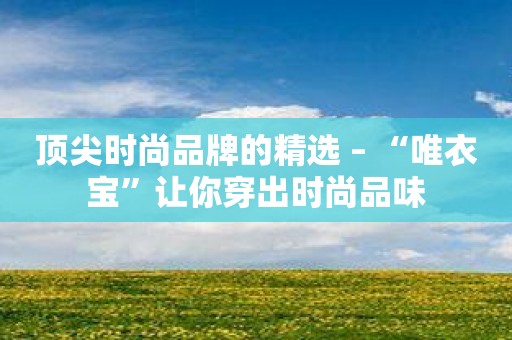 顶尖时尚品牌的精选 – “唯衣宝”让你穿出时尚品味