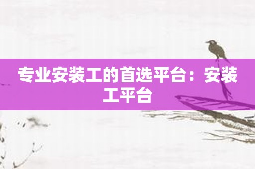 专业安装工的首选平台：安装工平台