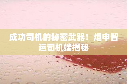 成功司机的秘密武器！炬申智运司机端揭秘