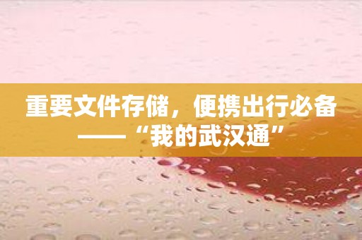 重要文件存储，便携出行必备——“我的武汉通”