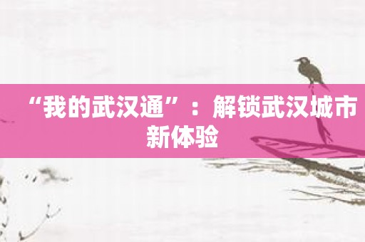 “我的武汉通”：解锁武汉城市新体验