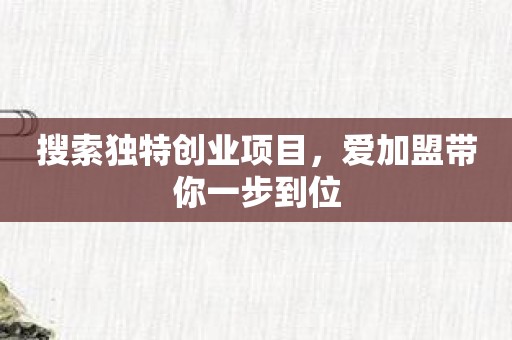 搜索独特创业项目，爱加盟带你一步到位