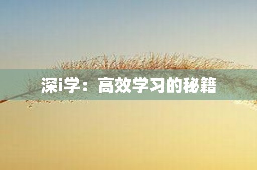 深i学：高效学习的秘籍