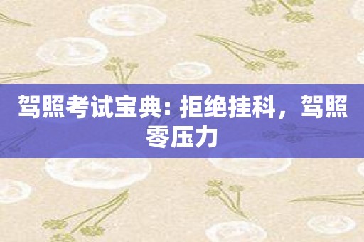 驾照考试宝典: 拒绝挂科，驾照零压力