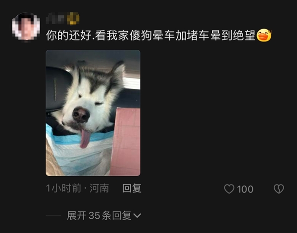 小狗返乡途中晕车还被猫打了一巴掌：画面让人忍俊不禁 狗为啥也晕车？