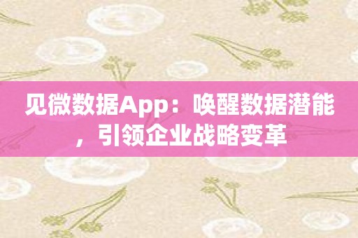 见微数据App：唤醒数据潜能，引领企业战略变革
