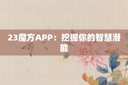 23魔方APP：挖掘你的智慧潜能